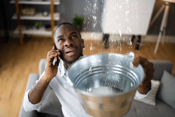 Best Sewage cleanup and water damage restoration  in Long Prairie, MN