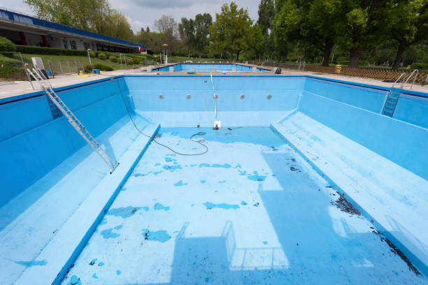 Best Water damage contractors near me  in Long Prairie, MN