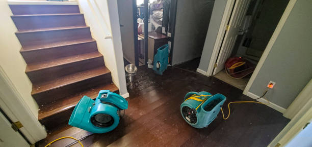 Best Water damage mitigation services  in Long Prairie, MN