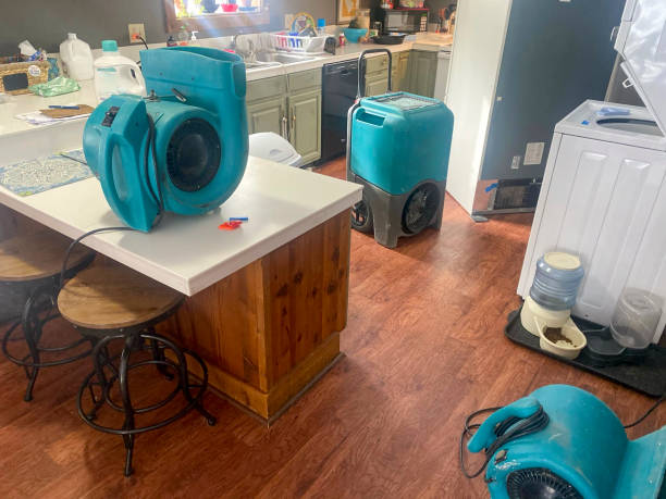 Best Local water damage restoration  in Long Prairie, MN