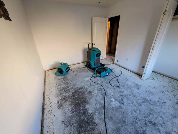 Best Water damage restoration cost  in Long Prairie, MN