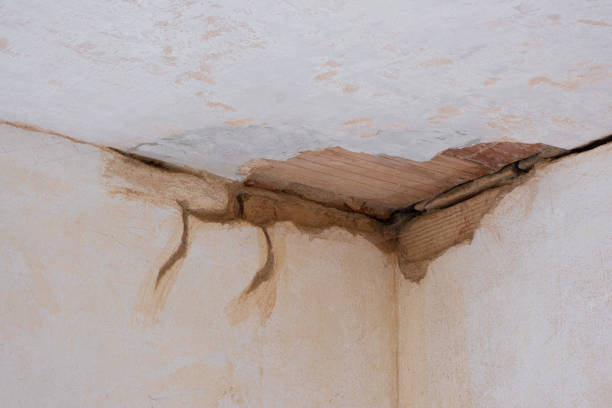 Best Ceiling water damage repair  in Long Prairie, MN