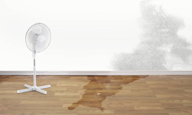 Carpet water damage restoration in Long Prairie, MN
