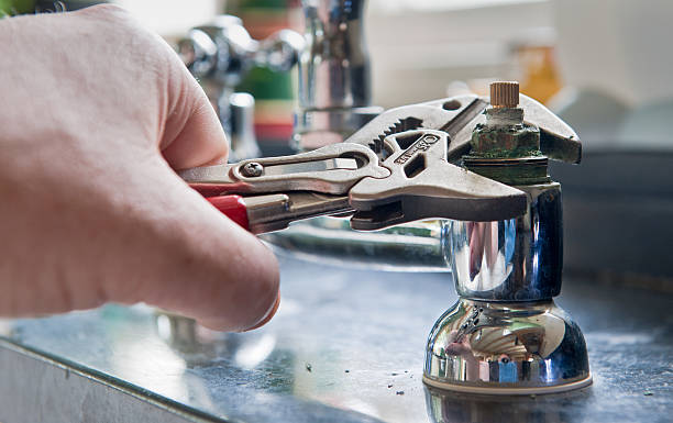 Best Water damage restoration specialists  in Long Prairie, MN