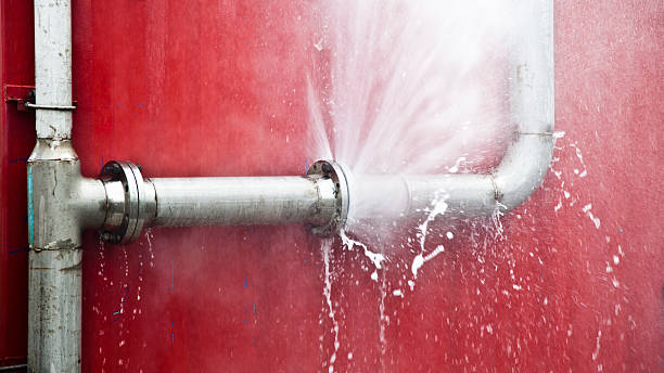 Best Water damage restoration near me  in Long Prairie, MN
