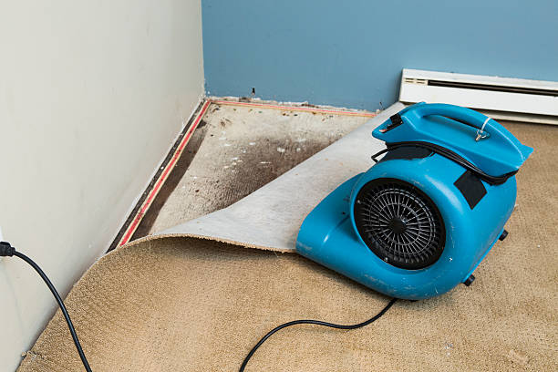 Reliable Long Prairie, MN Water damage restoration Solutions
